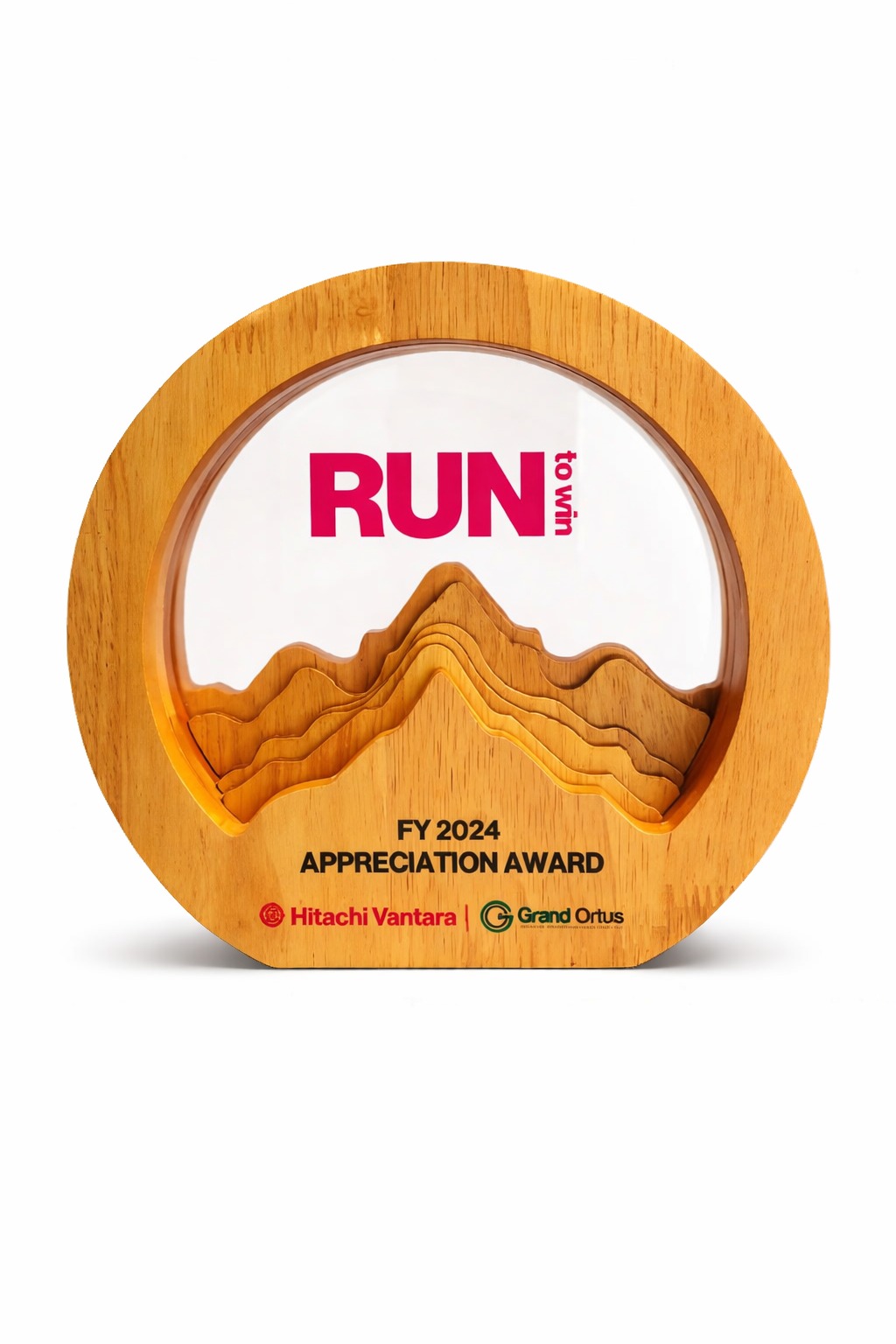 Hitachi Vantara FY 2024 Appreciation Award